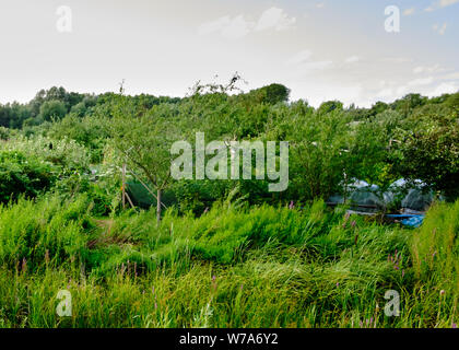 Trap Boden Zuteilung mit Burgess Feld Naturschutzgebiet dahinter, Oxford Stockfoto