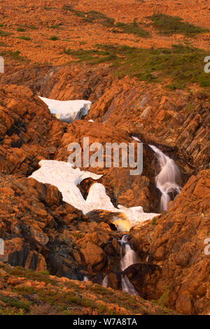 Wasserfall entlang Tableland Trail, Gros Morne National Park, Neufundland und Labrador, Kanada Stockfoto