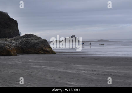 Schattierungen von grau: grau Obertöne verbrauchen Ruby Beach im Staat Washington. Stockfoto