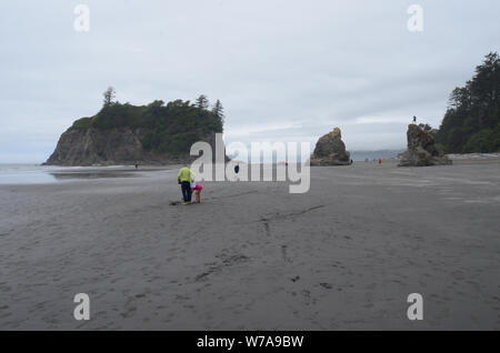 Schattierungen von grau: grau Obertöne verbrauchen Ruby Beach im Staat Washington. Stockfoto