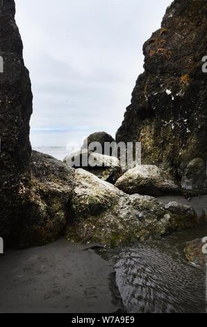 Schattierungen von grau: grau Obertöne verbrauchen Ruby Beach im Staat Washington. Stockfoto