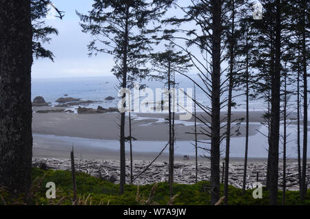 Schattierungen von grau: grau Obertöne verbrauchen Ruby Beach im Staat Washington. Stockfoto