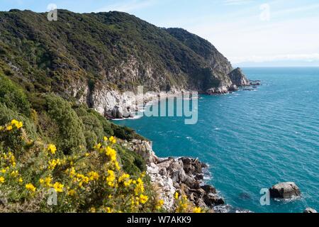 Cliffside Ansicht der Abel Tasman National Park Stockfoto