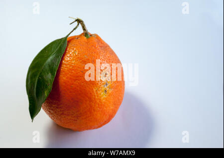 Ein einsames orange Meyer Zitrone mit ihren Samen oder Blatt und Schatten verlassen über einem weißen Hintergrund Stockfoto