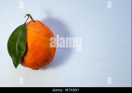 Ein einsames orange Meyer Zitrone mit ihren Samen oder Blatt und Schatten verlassen über einem weißen Hintergrund Stockfoto