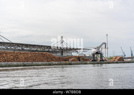 Riesige Stapel Baumstämme liegen in einem Umschlag Hafen und sind von einem großen Kran geladen Stockfoto