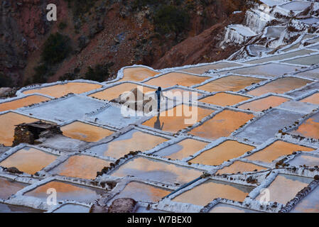 Sonnenuntergang Reflexionen über die Salinen von Maras, das Heilige Tal, Peru Stockfoto