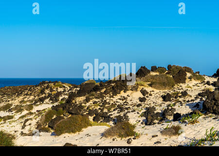 Spanien, Lanzarote, orzola berühmten weißen Sandstrand von schwarzem Lavagestein und grünen Pflanzen bedeckt Stockfoto