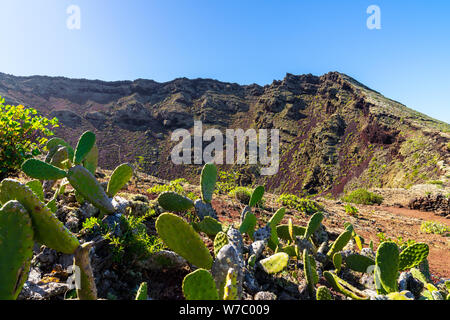 Spanien, Lanzarote, riesige Vulkanische Krater des Vulkan Corona hinter grünen Kaktus Pflanzen Stockfoto