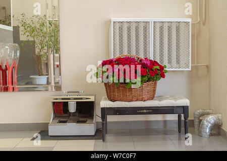 Lieferung von einem Blumenstrauß im Büro. Ein großer Blumenstrauß aus Rosen und Pfingstrosen in einem grossen Korb. Rote Rosen und rosa Pfingstrosen in einem braunen Korb. Stockfoto