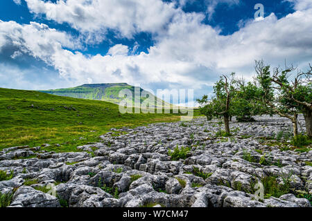 Ingleborough Berg. Yorkshire Dales National Park Stockfoto