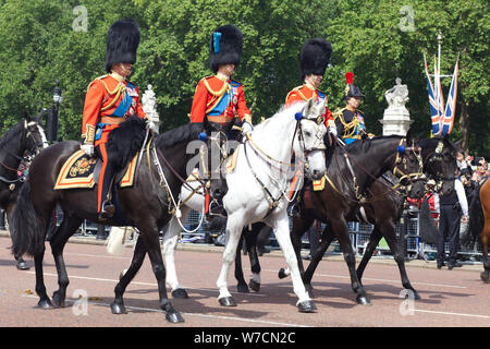 Prinz Charles, Prinz William, Prinz Andrew und Princess Ann auf dem Pferd, die Mall London Stockfoto