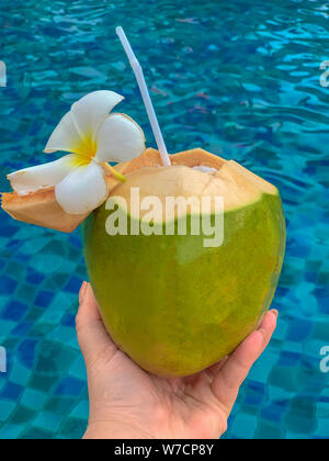 Vertikale, Foto, tropischen Pool, Kokos, Sommer, Wasser, Grün, Stroh, Urlaub, Entspannung, Saft, frische, schöne, Natur, Trinken, weiblich, backgroun Stockfoto