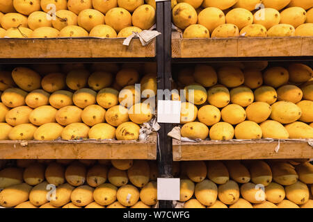 Stapel von frischem Gelb gerippt Thai mango Namen Mamuang Kaew auf Früchten angezeigt shop Abschaltdruck Stockfoto