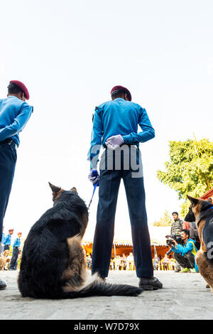 KATHMANDU, Nepal - NOVEMBER 6, 2018: Nepal Polizei feiert Kukur Tihar (Hund Festival) am zentralen Polizei Hundeschule. Stockfoto