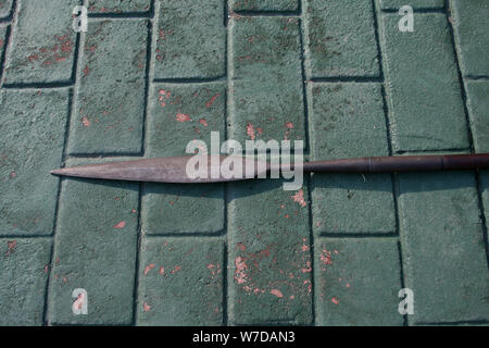 Zulu Speer/Waffe 1876 Stockfoto