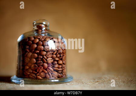 Kaffeebohnen unter der Glaskuppel. Kopieren Sie Platz. Stockfoto