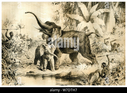 "Eingeborenen Spearing ein Elefant", 1883. Artist: Unbekannt Stockfoto