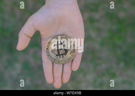 Golden Bitcoin in den Händen eines Kindes auf dem Hintergrund des grünen Grases. Bis steigende Bitcoin. Stockfoto