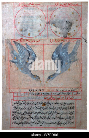 Abbildung: Die Konstellationen der südlichen Hemisphäre, aus dem 16. Jahrhundert. Artist: Unbekannt Stockfoto