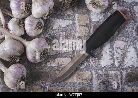 Rahmen aus Knoblauch Zwiebeln mit schwarzem Messer auf Stein. Blick von oben. Stockfoto