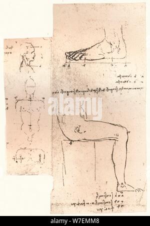 Zwei Zeichnungen veranschaulichen die Theorie der Proportionen der menschlichen Figur, c1472-c1519 (1883). Künstler: Leonardo da Vinci. Stockfoto