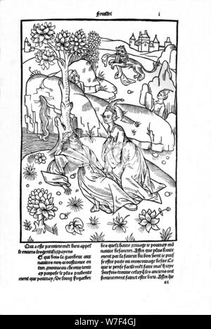 "De La Généalogie des Dieux", 1498-1499 (1947). Künstler: Giovanni di Boccace. Stockfoto