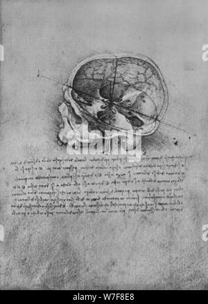 "Anatomische Zeichnung von einem Schädel auf der linken Seite", c1480 (1945). Künstler: Leonardo da Vinci. Stockfoto