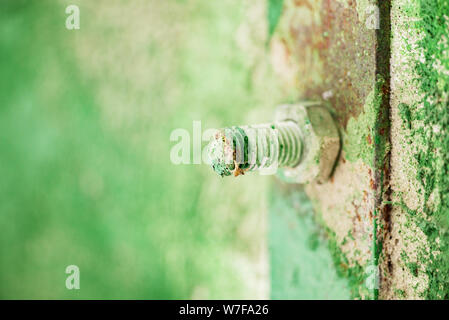 Alte bemalte Schraube und Mutter in einer konkreten grüne Wand. metall Berg zum Gebäude Stockfoto