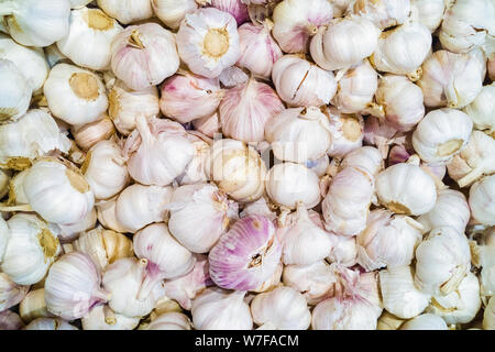 Viele von Knoblauch in einem Fach im Store. Textur. Hintergrund Stockfoto