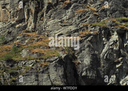 Gressoney Saint Jean Landschaft, Aosta, Italien. Stockfoto