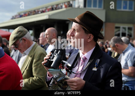 Jump racing kehrt in Hereford Racecourse, Donnerstag, 6. Oktober 2016. Warten auf das Ende. Stockfoto