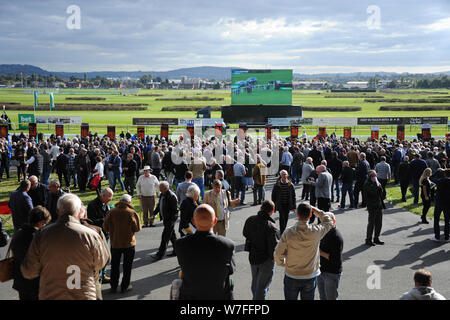 Jump racing kehrt in Hereford Racecourse, Donnerstag, 6. Oktober 2016. Stockfoto