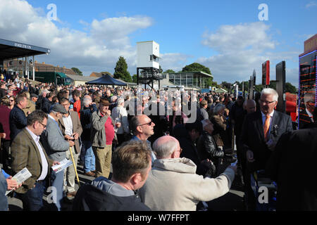 Jump racing kehrt in Hereford Racecourse, Donnerstag, 6. Oktober 2016. Massen-Warteschlange für die Buchmacher. Stockfoto