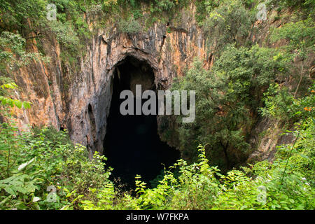 Chinhoyi Höhlen, Simbabwe. Kalkstein und Dolomit Höhlen liegt etwa 9 Kilometer nordwestlich von Chinhoyi Stockfoto