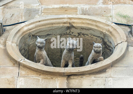 Baku, Aserbaidschan - Mai 5, 2019. Sandstein Skulptur von drei Katzen aus faux Fenster in der Altstadt von Baku. Stockfoto