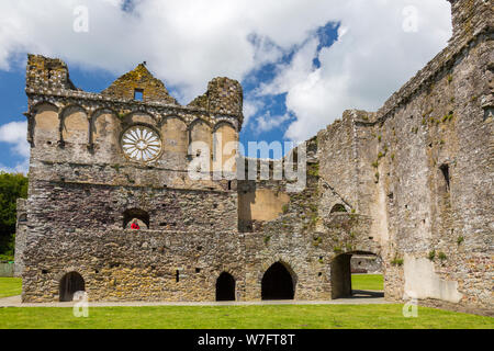 Die Fenster in der Wand der Großen Halle, 13. Jahrhundert Bishop's Palace in St. Davids, Pembrokeshire, Wales, Großbritannien Stockfoto