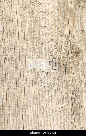 Alte verwitterte grau-braune Holztextur als Hintergrund Stockfoto
