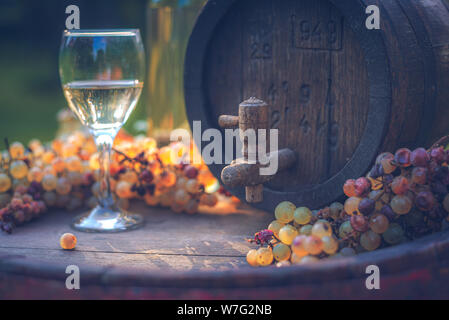 Weinfass mit grünen Italienischer Riesling Trauben und einem Glas Wein in der Erntezeit, Ungarn Stockfoto