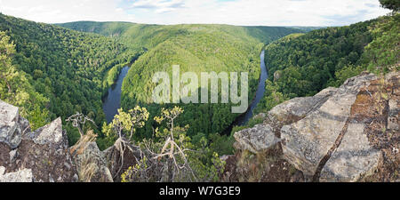 Thaya Tal panorama Luftbild des Flusses durch dichten Mischwald und steile Felsen eingerahmt. Stockfoto