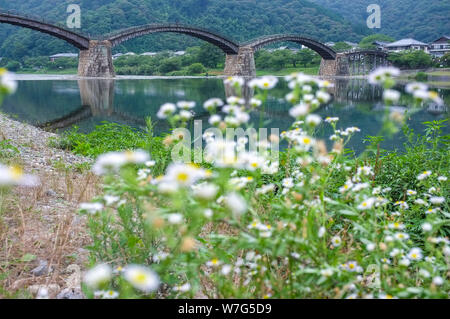 Die kintai Brücke im Jahre 1673 über die Nishiki Flusses gebaut, in der Stadt von Iwakuni, in der Präfektur Yamaguchi, Japan. Stockfoto