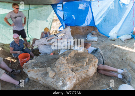 Archäologische Grabung auf dem Gelände der Entdeckung eines kolumbianischen Mammut in der Nähe von Italien, Texas Stockfoto