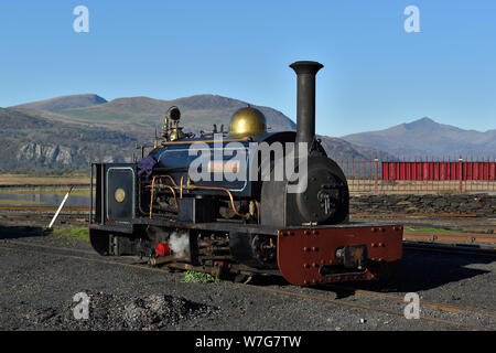 Winifredd simmers auf Boston Lodge vergossen Stockfoto