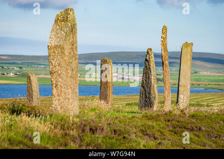 Ring von Brodgar auf Orkney am späten Sommer am Nachmittag Stockfoto