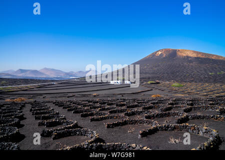 Spanien, Lanzarote, berühmten Weinbau Weinberg Region am schwarzen vulkanischen Boden von La Geria Stockfoto