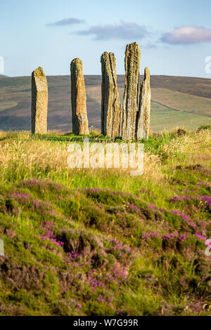 Ring von Brodgar auf Orkney am späten Sommer am Nachmittag Stockfoto