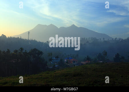 Landschaft der Wayanad in Kerala, Indien Stockfoto