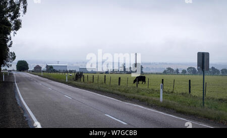Nebliger Tag im ländlichen Australien Stockfoto