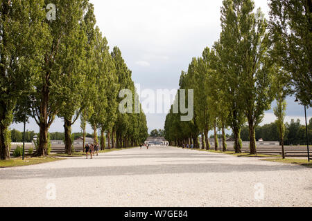 Die ehemalige Lagerstraße am KZ Dachau, gesäumt von Bäumen, wo einst Baracken und andere Gebäude standen, in Dachau, Deutschland. Stockfoto