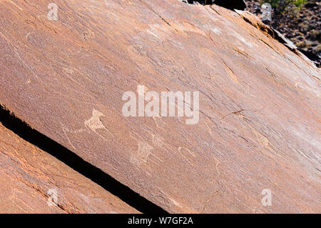 6000 Jahre alte Felszeichnungen von Tieren bei Twyfelfontein, Namibia Stockfoto